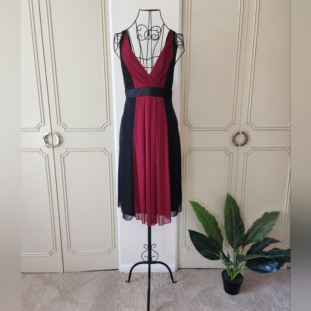 Vintage Alyn Paige Black and Burgundy Dress Size Large Goth, Vampy